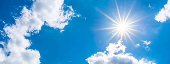 Foods and Supplements to Prevent Sunburn